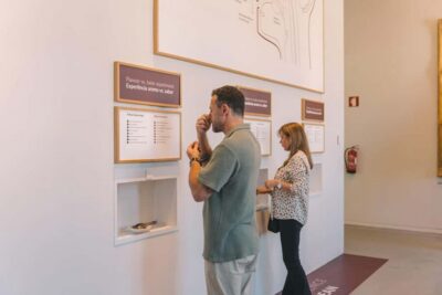 Porto: Entry Ticket at WOW - The Wine Experience Museum - From vine roots to the bottle: what you’ll actually learn