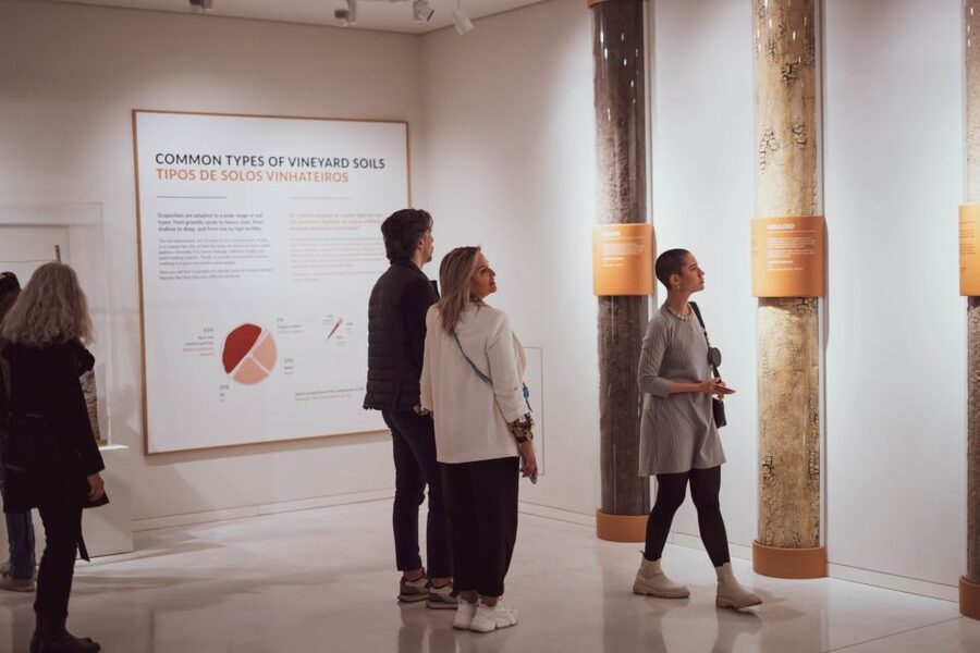 Porto: Entry Ticket at WOW - The Wine Experience Museum - Price and value: is the $20 ticket worth it?