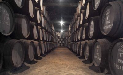 Porto: Graham's Port Lodge Tour with Premium Wine Tastings - Inside the tour: production process, oak storage, and Vintage Port cellars