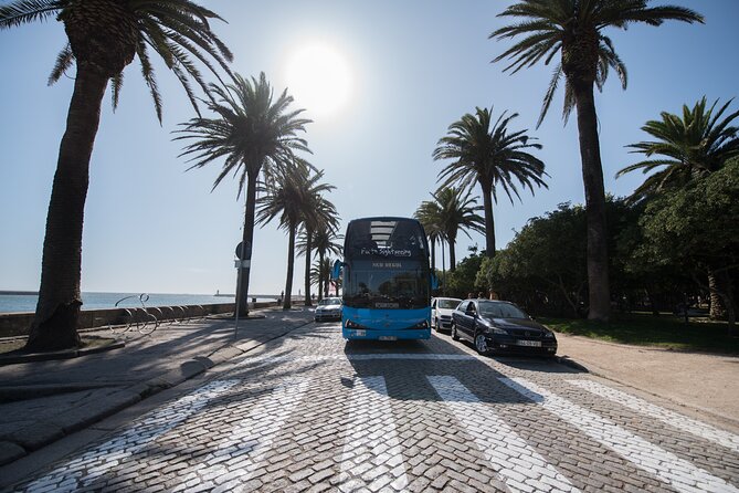 Porto Hop On Hop Off Bus Tour with Wine tasting & Night tour - Port wine tasting: how to use the ticket without headaches