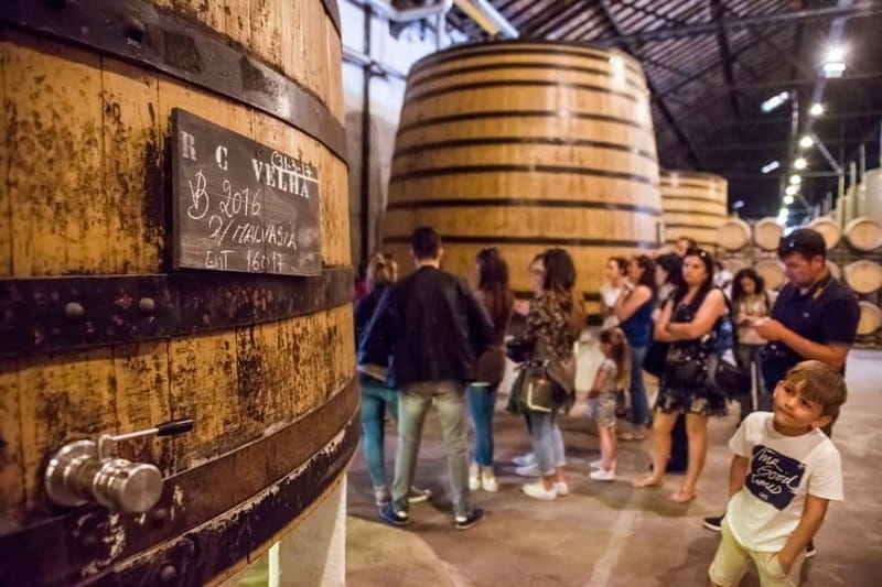 Porto: Magic Train Tour and Port Wine Cellar with Tastings - From Sé Catedral to a “see it fast” Porto loop