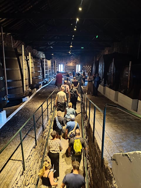 Porto: Port and Douro Wine Walking Tour with 9 Tastings - Fonseca Port Wine Cellars: Learning Through a Classic Name