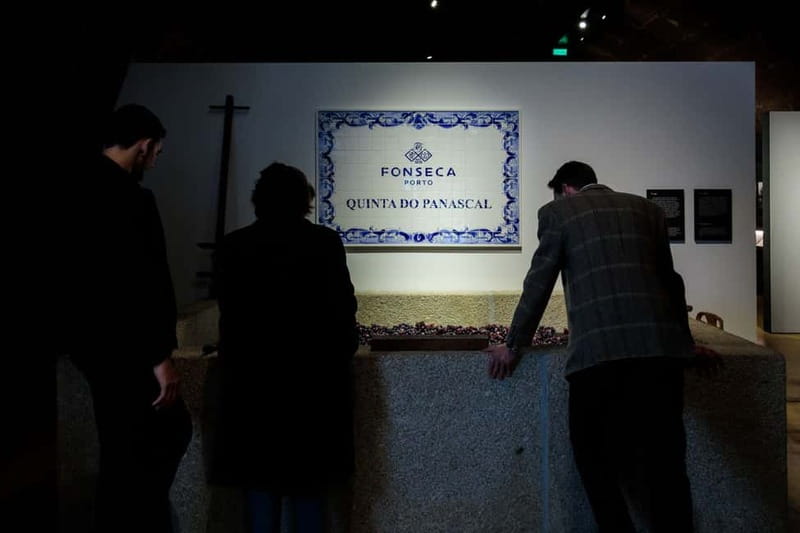 Porto: Port Cellar Visit and Wine Tasting at Fonseca - Timing and walking reality: the practical side of booking