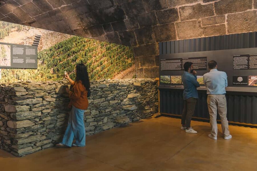 Porto: Port Cellar Visit and Wine Tasting at Fonseca - How Port gets made: Douro Valley basics that improve your tasting