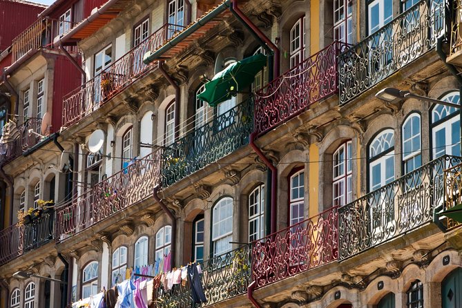 Porto Private Tour from Lisbon with Douro Cruise and Wine Tasting - Private guide pacing: how Susana, Nuno, and João shape the day