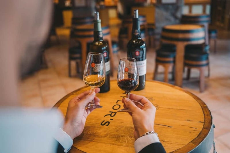 Porto: Taylor’s Port Cellar Tour & WOW The Wine Experience - Taylor’s 300-year-old Port cellars: audio-guided walking that feels calm