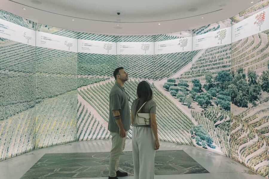Porto: The Wine Experience, Best Wine Museum in the World - Who should book this in Porto, and who should skip it