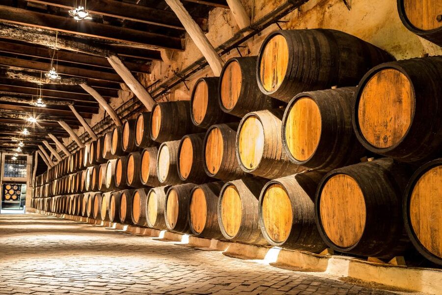 Porto: Tuk-Tuk Tour, Douro River Cruise, and Wine Tasting - Who this Porto combo is best for (and who should choose differently)