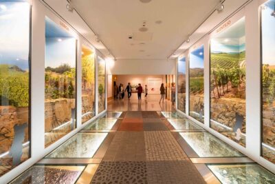 Porto: Wine Experience Museum with 3 Wine Tastings - From grape to glass: what the museum actually shows you