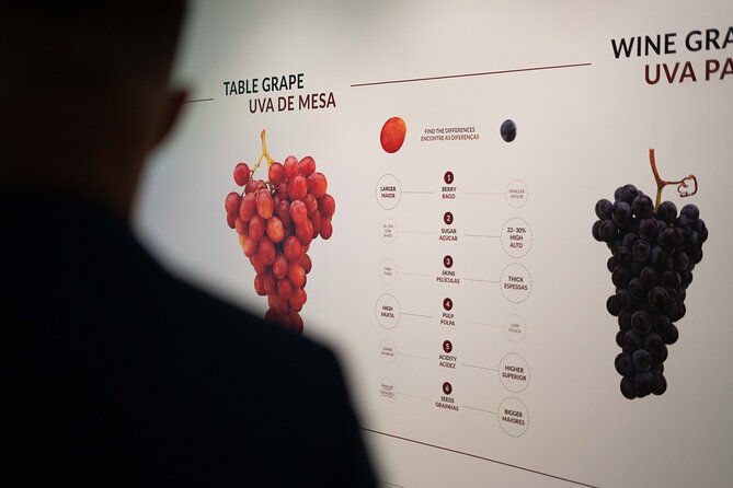 Porto: Wine Experience Museum with 3 Wine Tastings - What I like most (and what might not be your style)
