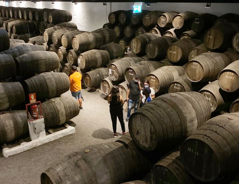 Porto: Wine Tasting with Tapas Walking Tour - Should you book Porto: Wine Tasting with Tapas Walking Tour?