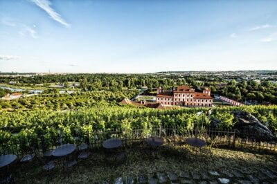 Prague´s Hidden Vineyards Private Tour - What 240.66 Buys You (And Why It Can Still Feel Fair)