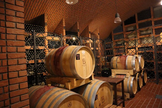 Prague´s Hidden Vineyards Private Tour - Prague Botanical Garden Cellar Access: Learning From the Wine Grower