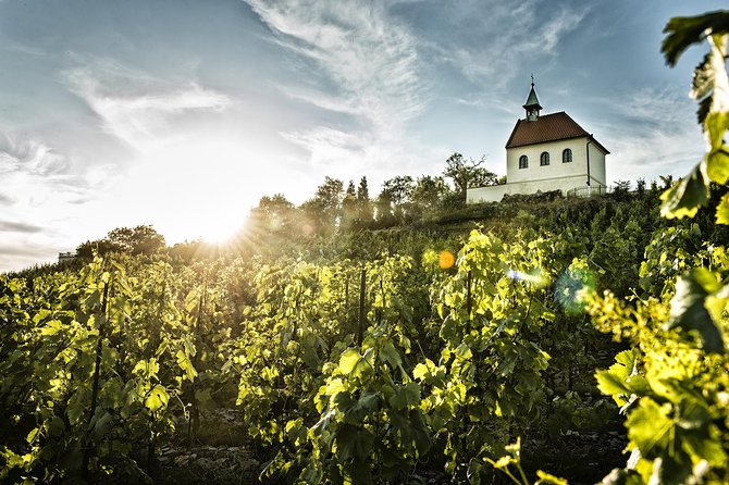 Prague´s Hidden Vineyards Private Tour - Food Notes: Snacks, Cheese Pairing, and Handling Dietary Requests