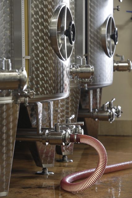 Pramaggiore: Ornella Bellia Winery Guided Tour & Tasting - Key things that make this winery tour worth your time