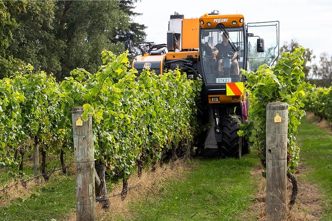 Premium 4 -Best Wineries Napier Hawke's Bay Tour, 5.5h - 6Hours - What You’ll Actually Do in 5.5 Hours