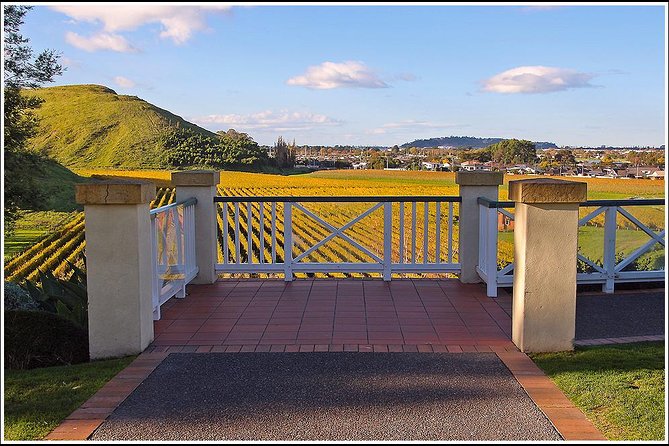 Premium 4 -Best Wineries Napier Hawke's Bay Tour, 5.5h - 6Hours - Key Highlights That Matter