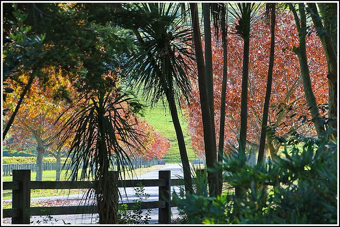Premium 4 -Best Wineries Napier Hawke's Bay Tour, 5.5h - 6Hours - The Small-Group Reality: Up to 15, Not a Crowd
