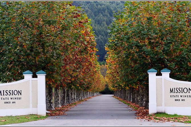 Premium 4 -Best Wineries Napier Hawke's Bay Tour, 5.5h - 6Hours - Stop Two: Natural Wine Focus, Choices on the Menu, and a Learning Walk