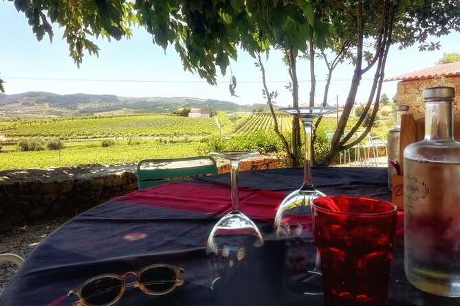 Premium Douro Valley Small-Group Tour, Wine Tasting, Lunch & Boat - Porto to the Douro in one smooth morning drive