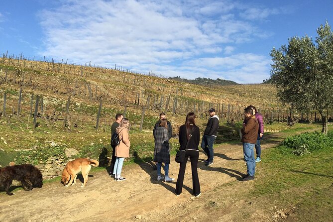 Premium Douro Valley Small-Group Tour, Wine Tasting, Lunch & Boat - Pinhão village, the train station, and the boat you’ll remember
