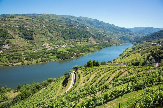 Premium Douro Valley Small-Group Tour, Wine Tasting, Lunch & Boat - Getting value from $181.39: what you’re paying for