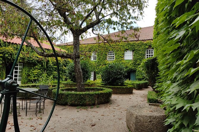 Premium Douro Valley Small-Group Tour, Wine Tasting, Lunch & Boat - Casa dos Barros lunch: pick your meal, enjoy the view