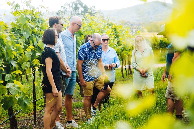Premium Hunter Valley Wine Tour with Lunch from Sydney - Comfort, pacing, and the small-group reality