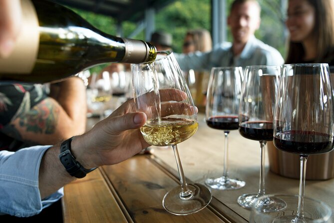 Premium Hunter Valley Wine Tour with Lunch from Sydney - What you get for the money: value at €159.25
