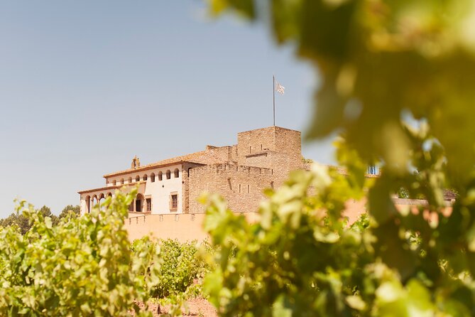 Premium Montserrat & Wine Full Day Tour from Barcelona - Why Montserrat Works So Well From Barcelona