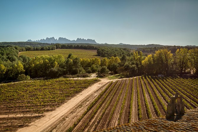 Premium Montserrat & Wine Full Day Tour from Barcelona - Value Check: Does $127.57 Feel Reasonable for a 10-Hour Day?