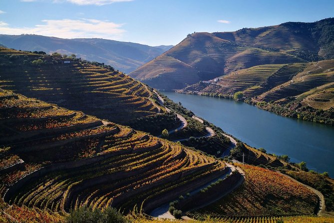 Premium Private Douro Tour: 3 Wineries with Tastings & Lunch - Quick hits before you go