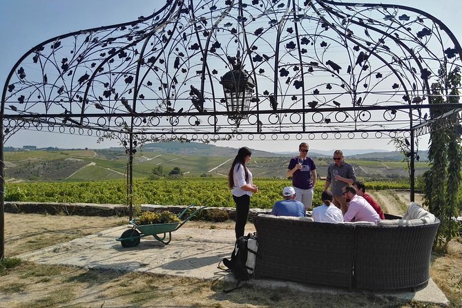 Premium Private Douro Tour: 3 Wineries with Tastings & Lunch - Morning Pickup From Porto: Your Day Starts Fast