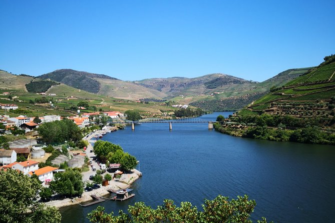 Premium Private Douro Tour: 3 Wineries with Tastings & Lunch - What the Included Lunch and Tastings Really Deliver