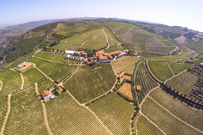 Premium Private Douro Tour: 3 Wineries with Tastings & Lunch - Price and Value: Is $520.23 Per Person a Deal?