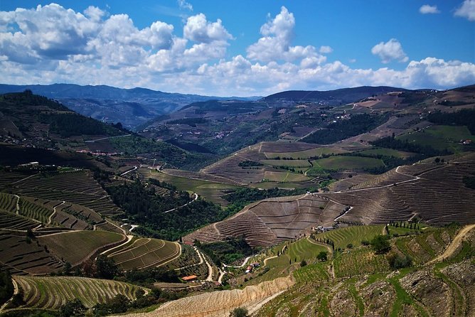 Premium Private Douro Tour: 3 Wineries with Tastings & Lunch - Guides and Pace: The Difference Between a Drive and a Day