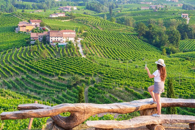 Premium Prosecco Hills Winery Tour with Prosecco Tastings & Food - Key highlights to look for