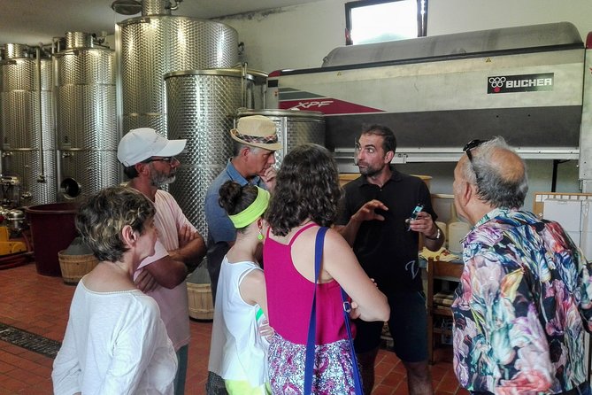 Premium Prosecco Hills Winery Tour with Prosecco Tastings & Food - Comfort matters: private transport, timing, and your driver/guide