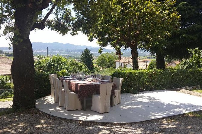Premium Prosecco Hills Winery Tour with Prosecco Tastings & Food - Practical advice: how to get the most from the day
