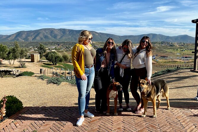 Premium Valle de Guadalupe Wine and Food Tour - Price and value: $259 for wine, lunch, tacos, and transport