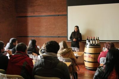 "Premium Wine Tour" Viña Cousiño Macul Official english - Entering Cousiño Macul: premium vines and historical cellars