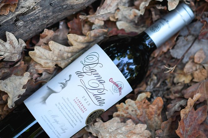 "Premium Wine Tour" Viña Cousiño Macul Official english - Why the timing (1 hour 45 minutes) is a smart choice in Santiago