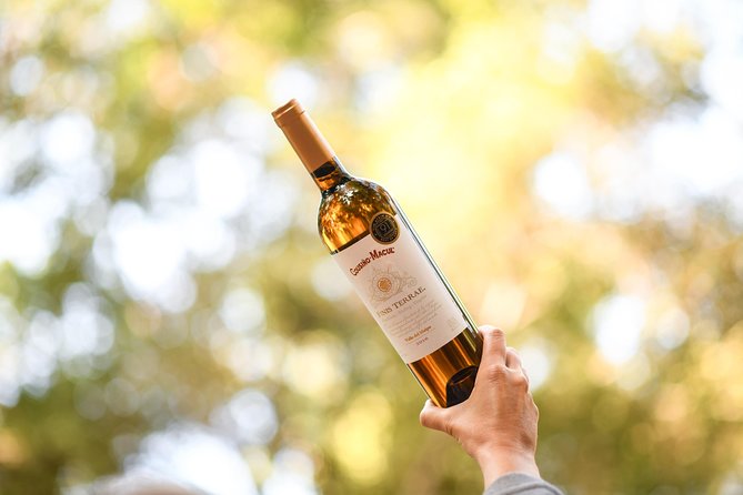 "Premium Wine Tour" Viña Cousiño Macul Official english - What you will actually do, step by step