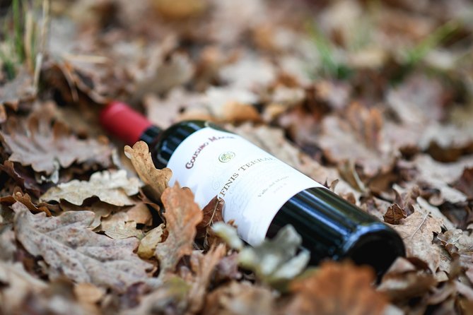 "Premium Wine Tour" Viña Cousiño Macul Official english - Who this tour suits best