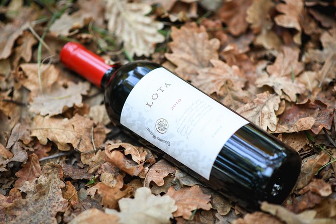 "Premium Wine Tour" Viña Cousiño Macul Official english - Price and value: what $45 buys you here