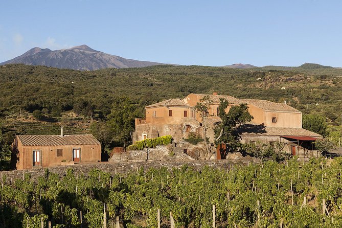 Private 6-Hour Tour of Three Etna Wineries with food&wine tasting - Stop Two: Four Wines With a Tagliere and Pasta