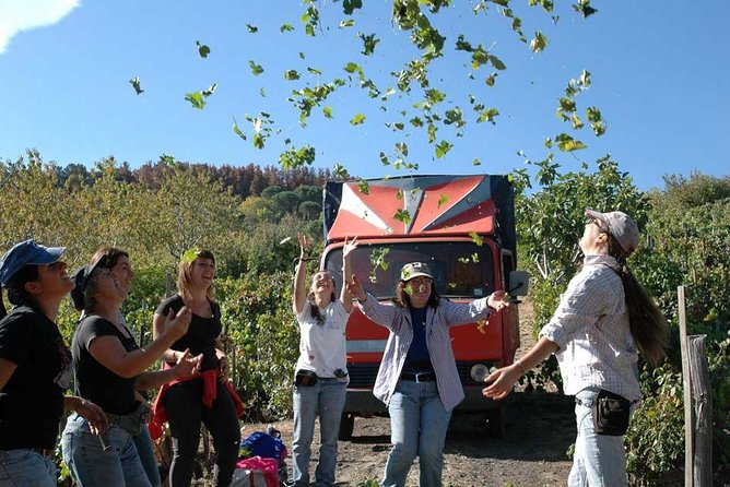 Private 6-Hour Tour of Three Etna Wineries with food&wine tasting - Drivers and Sommelier Hosting: Why the Day Can Feel Effortless