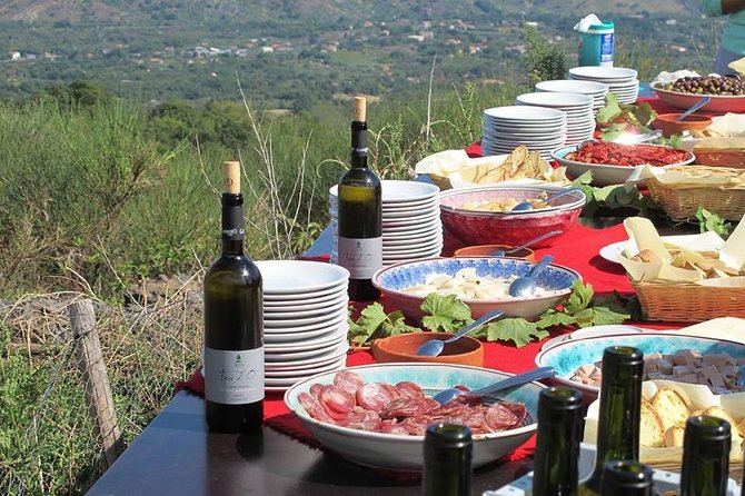 Private 6-Hour Tour of Three Etna Wineries with food&wine tasting - What to Wear, What to Bring, and How to Enjoy the Pacing
