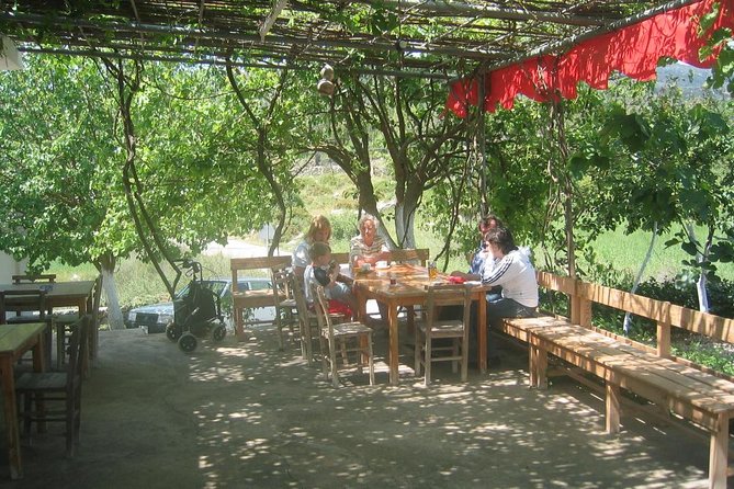 Private Bodrum Village Tour + 1 Glass Free Local Wine - Bodrum Village Tour: a slower day outside the cruise-and-shops loop