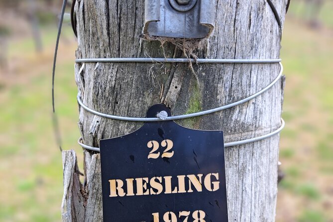 Private Canberra Winery Tour with lunch - Drinks, pace, and how to get the most from tastings